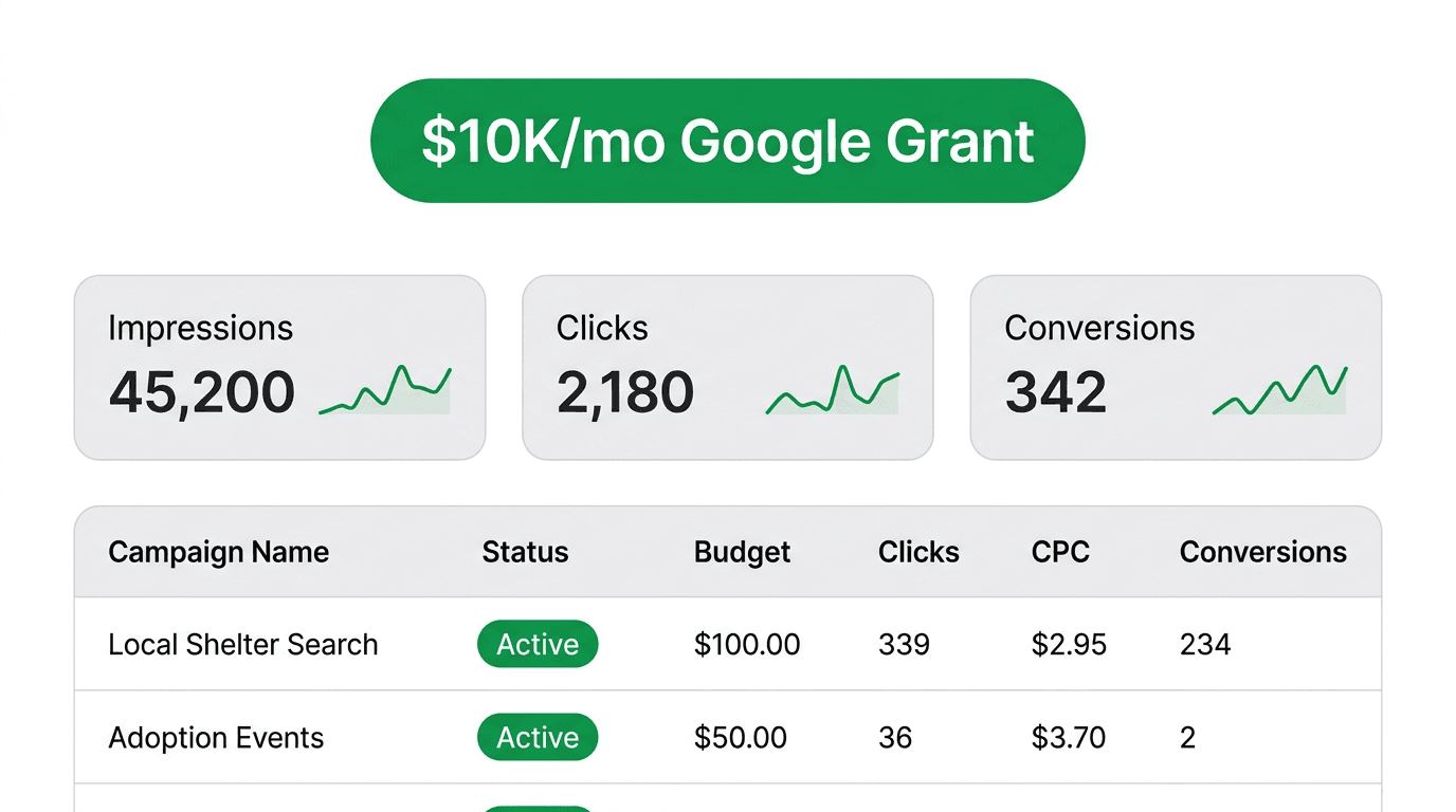 Bloom Google Ads management dashboard showing campaign performance and $10K/mo grant badge