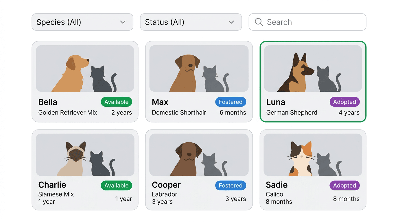 Bloom shelter management with animal cards showing status badges and filter options